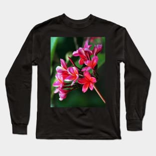 plumeria-flowers-frangipani-floral-red-shirtyshirto-70 Long Sleeve T-Shirt